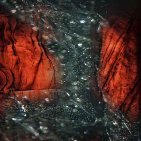 paul schutze abysmal